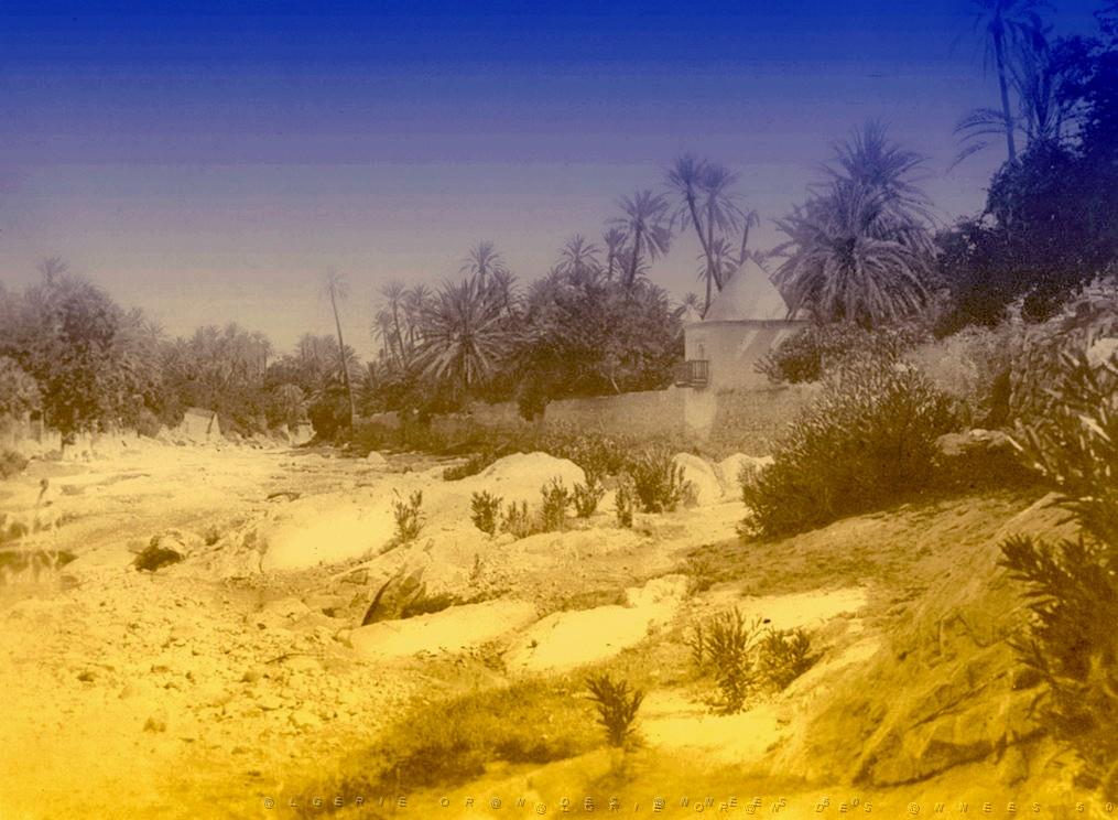 OASIS ET LE M ZAB 00008 L OUED DE BOU SAADA.jpg